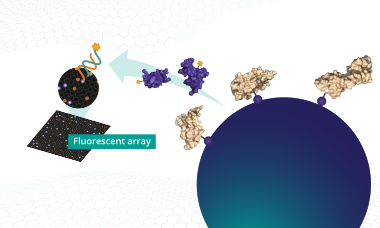 SOMAmer reagents are isolated and fluorophores measured