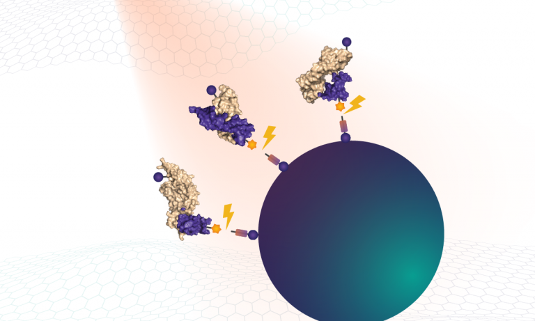 Polyanionic competitors prevent rebinding of non-specific complexes
