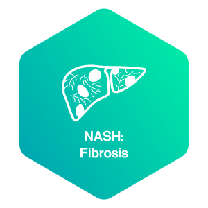 NASH: Fibrosis