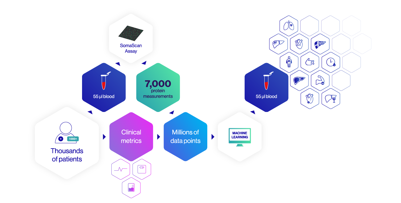 web explainer