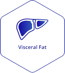 ICON-Visceral-Fat
