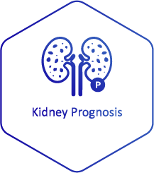 2Kidney Prognosis Blue_Patients-Providers Page