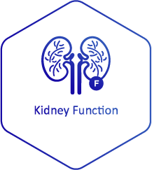 3Kidney Function Blue_Patients-Providers Page