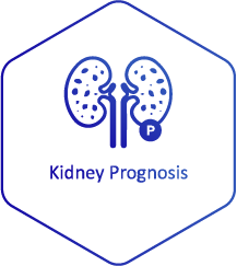 3Kidney Prognosis Blue_Patients-Providers Page