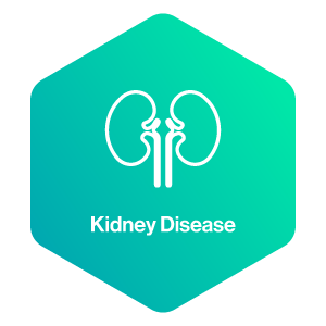 Icon_Kidney Disease
