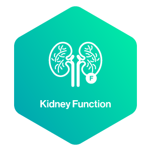 Icon_Kidney Function