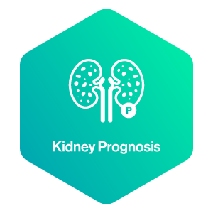 Icon_Kidney Prognosis