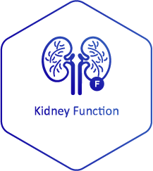 Kidney Function Blue_Patients-Providers Page
