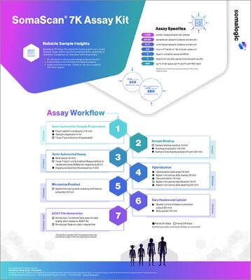 Assay Workflow Infographic