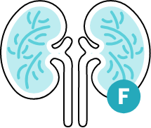 SomaSignal_Tests_Icons_body fat_kidney function