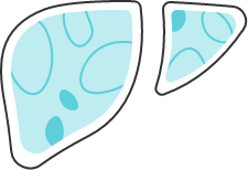icon of liver with spots