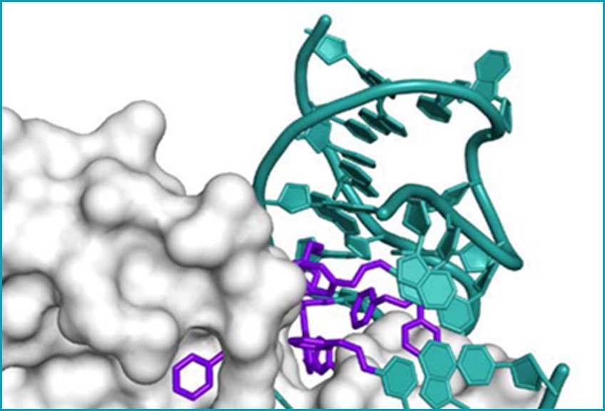 Zoom in of magnified protein