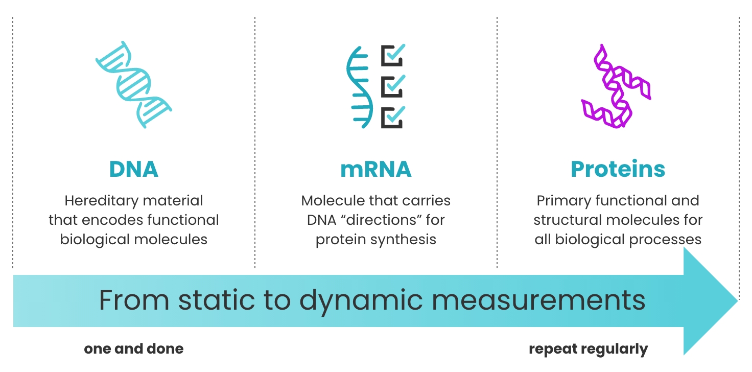 Icon of DNA, mRNA and chain pf proteins