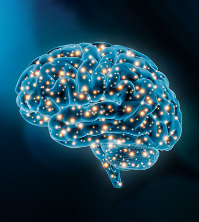 Illustration of brain neural networks