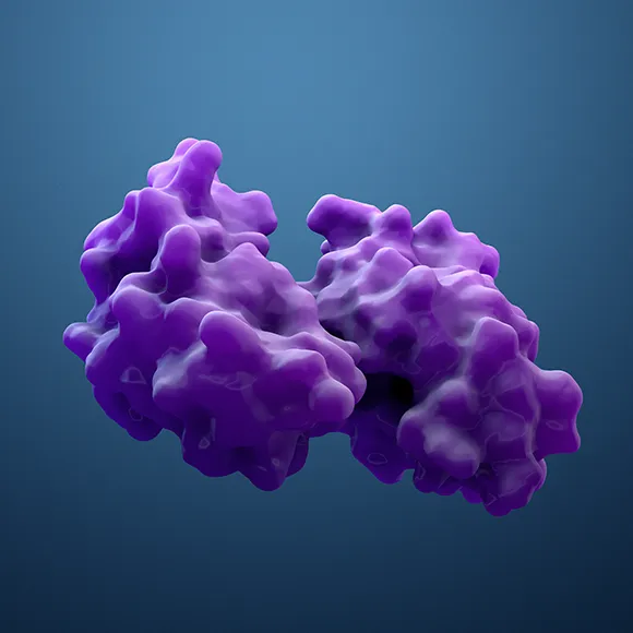 3D rendering of protein