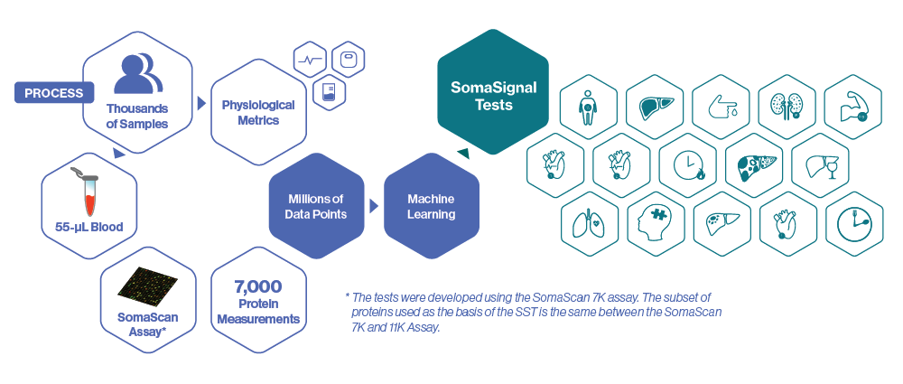 SomaSignal Tests Diagram