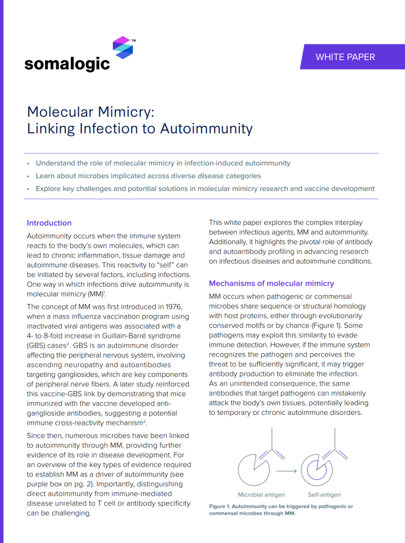 image of the white paper