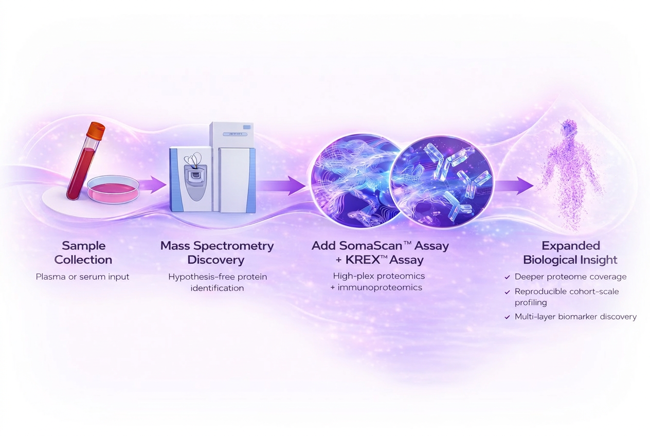 Soma Workflow Diagram